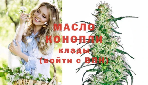 гидра Михайловск