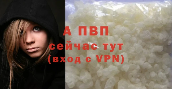 гидра Михайловск