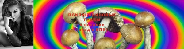 бутират Михайлов