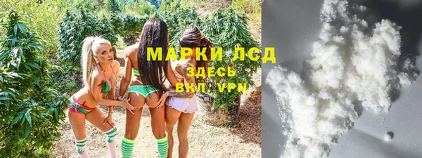 гидра Михайловск