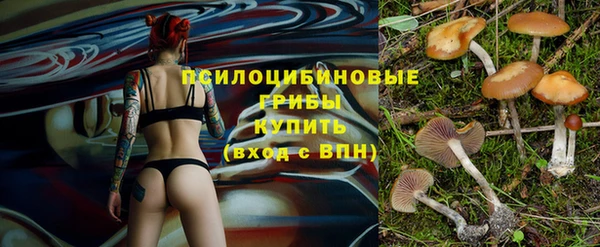 гидра Михайловск