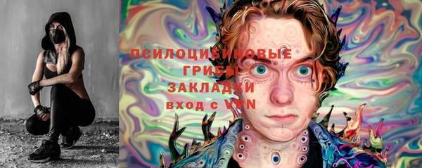 гидра Михайловск