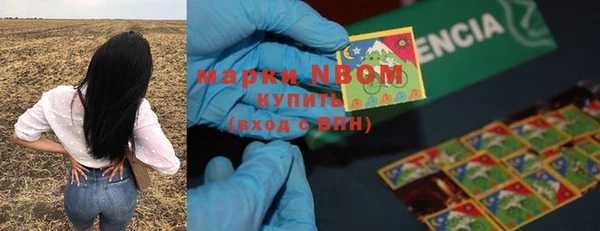гидра Михайловск