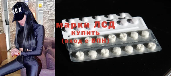 стаф Ельня