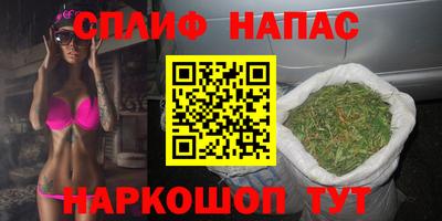 стаф Донской
