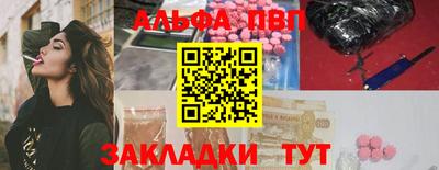 стаф Донской