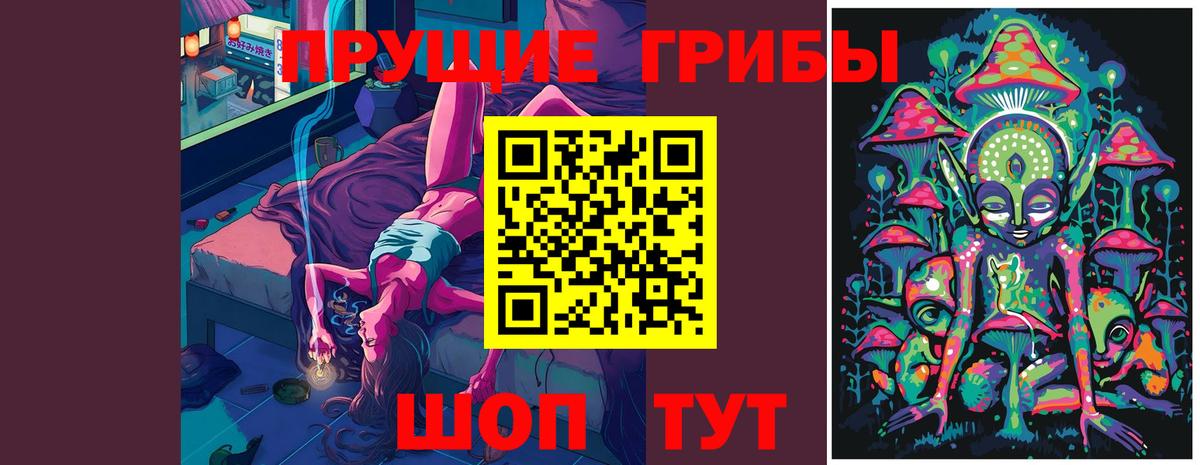 Галлюциногенные грибы мицелий Северск